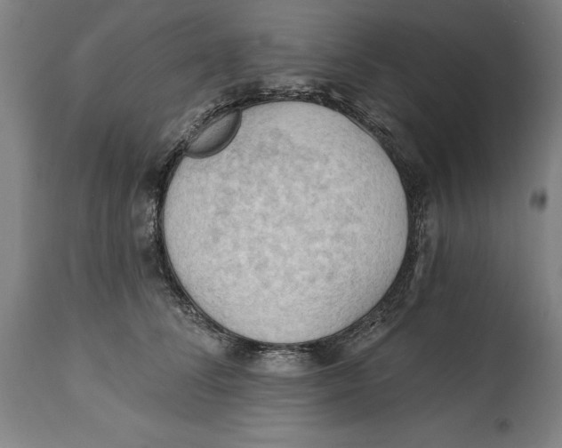 X0000114630708200911101236