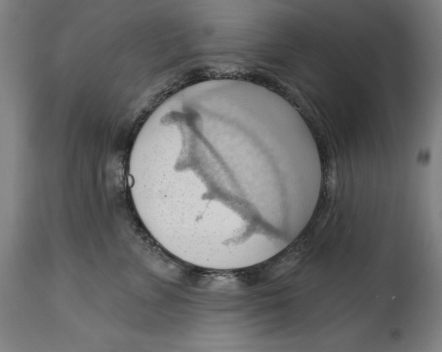 X0000114630715200911101236