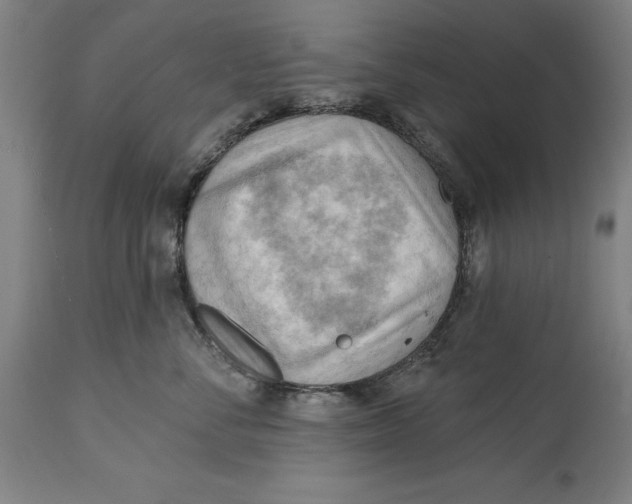 X0000114630716200911101236