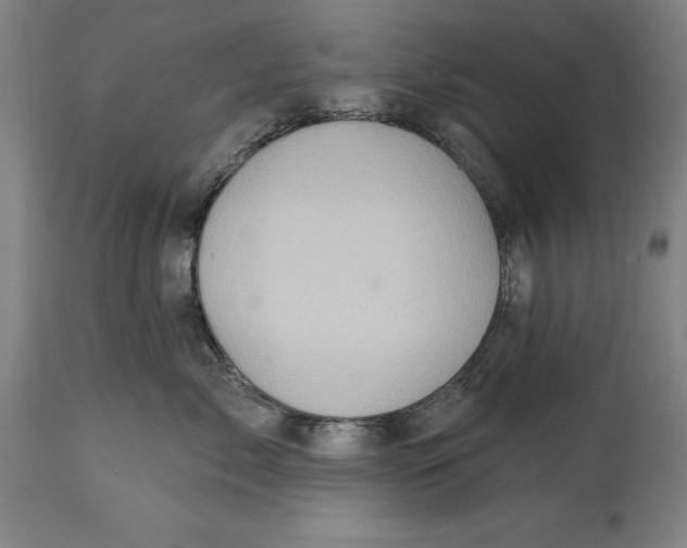 X0000114630717200911101236