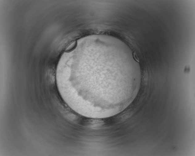 X0000114630719200911101236