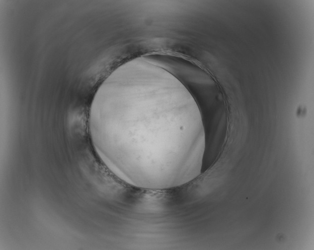 X0000114630720200911101236