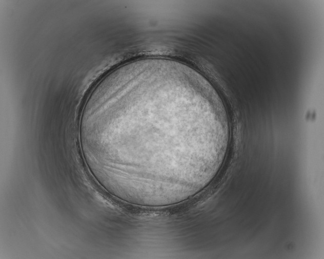 X0000114630721200911101235