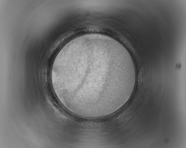 X0000114630722200911101236