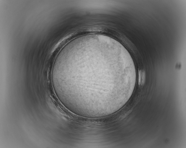 X0000114630723200911101236