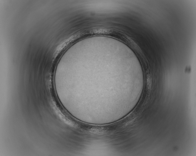 X0000114630725200911101236