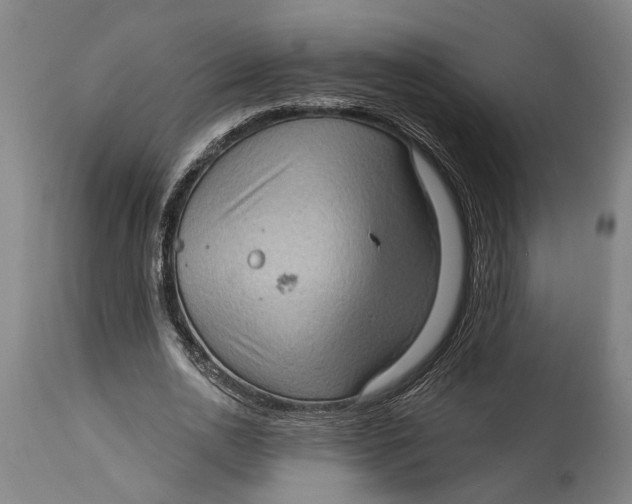 X0000114630726200911101236