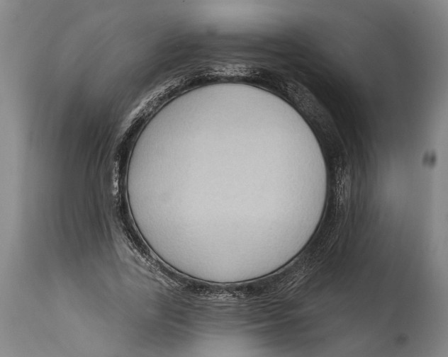 X0000114630731200911101236