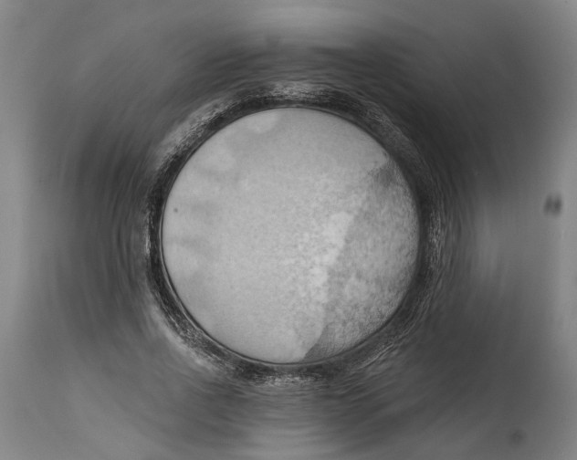 X0000114630734200911101236