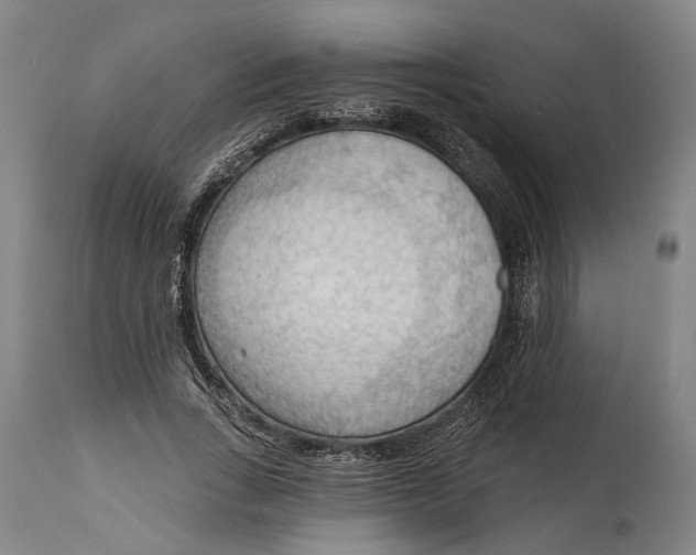 X0000114630735200911101236