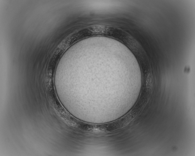 X0000114630737200911101236