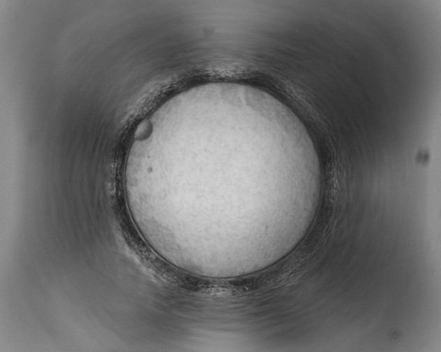 X0000114630738200911101236