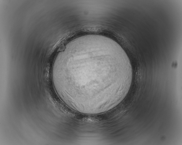 X0000114630739200911101236