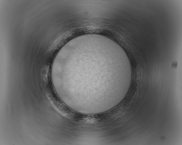 X0000114630742200911101236