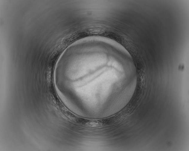 X0000114630745200911101236