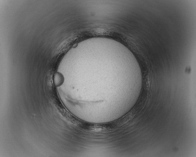 X0000114630746200911101236