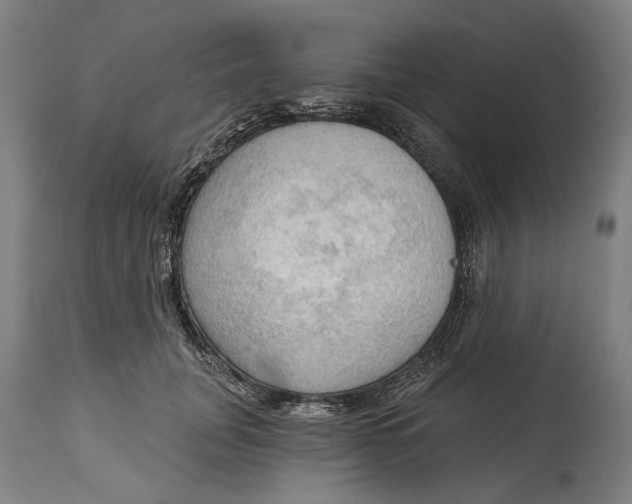 X0000114630751200911101236