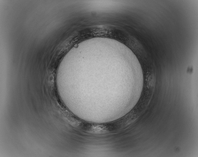 X0000114630753200911101236