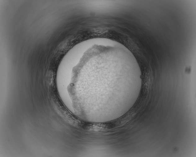 X0000114630758200911101236