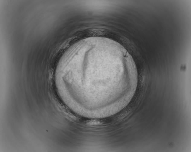 X0000114630759200911101236