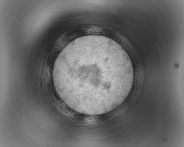 X0000114630761200911101236