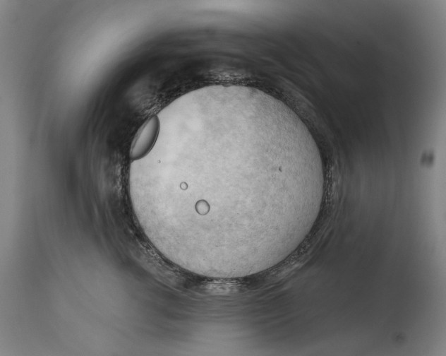 X0000114630762200911101236