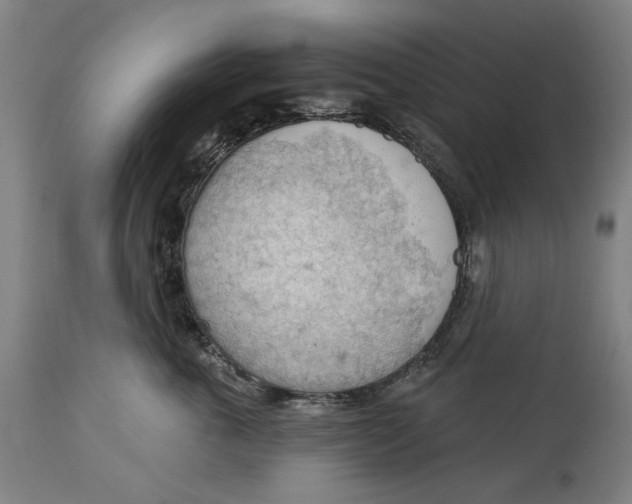 X0000114630763200911101236