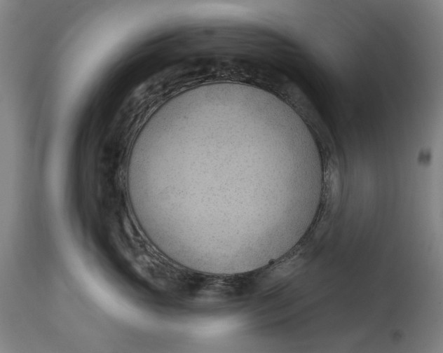 X0000114630765200911101236