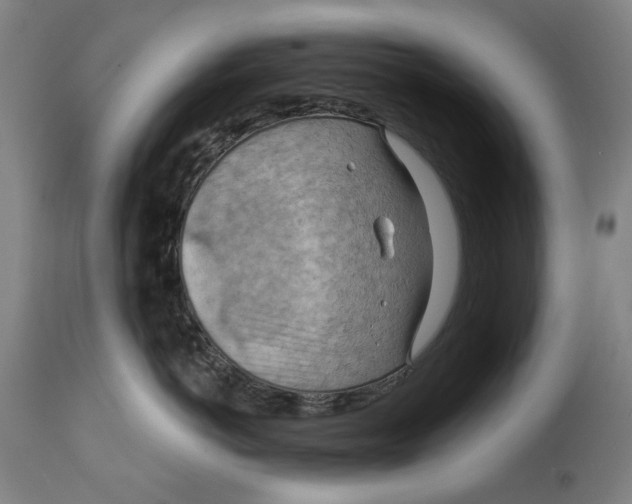 X0000114630766200911101236