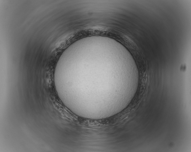 X0000114630774200911101235