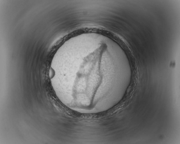 X0000114630775200911101235