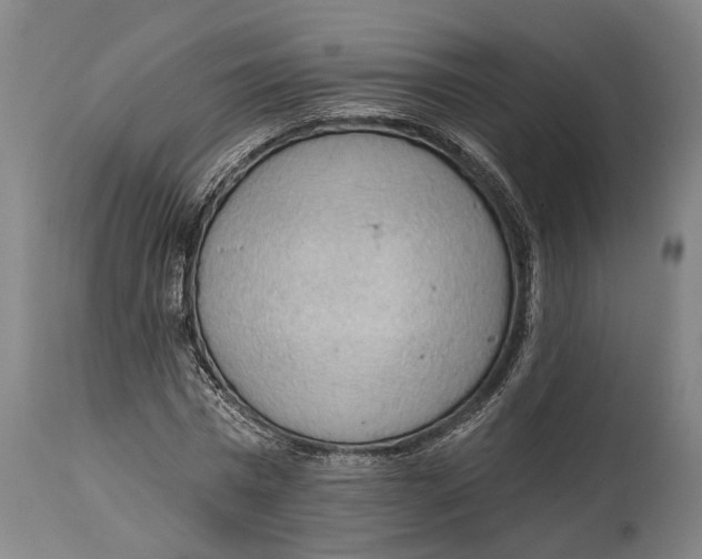 X0000114630777200911101235