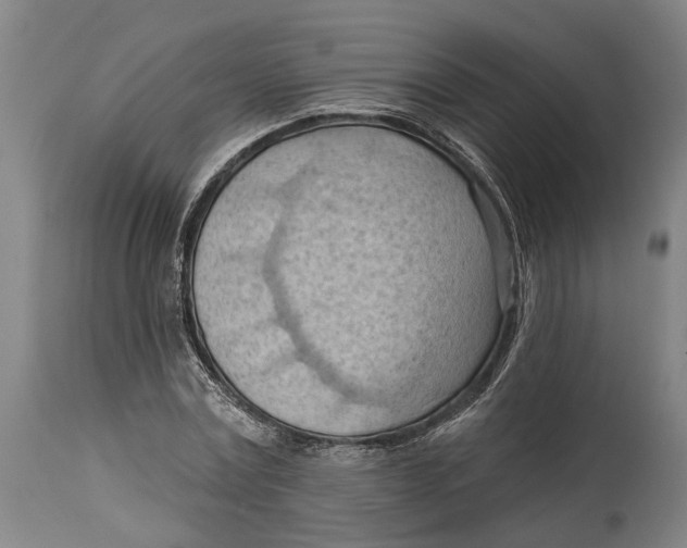 X0000114630779200911101235