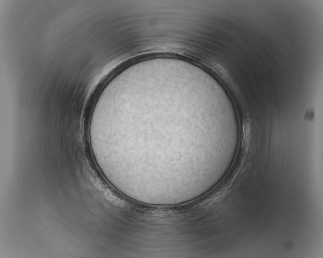 X0000114630780200911101235