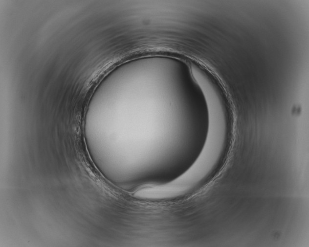 X0000114630785200911101235