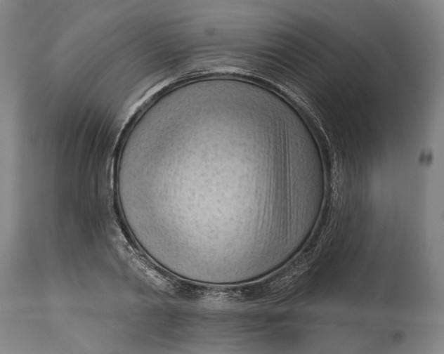 X0000114630790200911101235