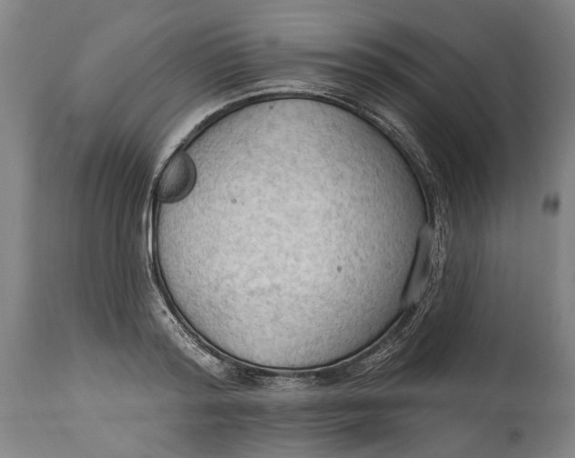 X0000114630796200911101235