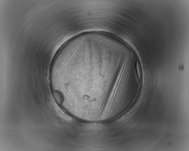 X0000114630797200911101235