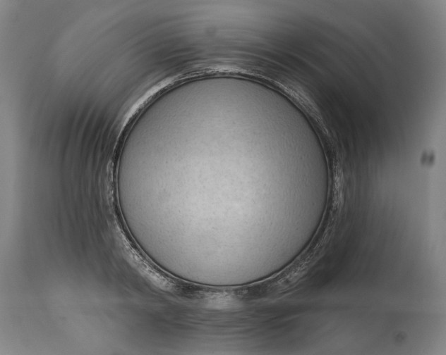 X0000114630798200911101235