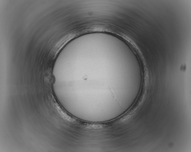 X0000114630801200911101235