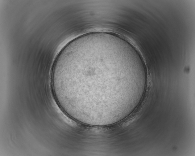 X0000114630803200911101235