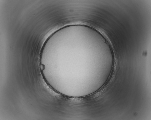 X0000114630805200911101235