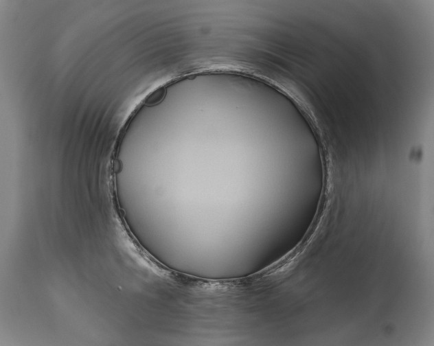 X0000114630806200911101235