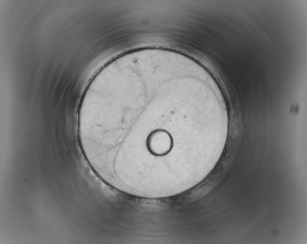 X0000114630807200911101235