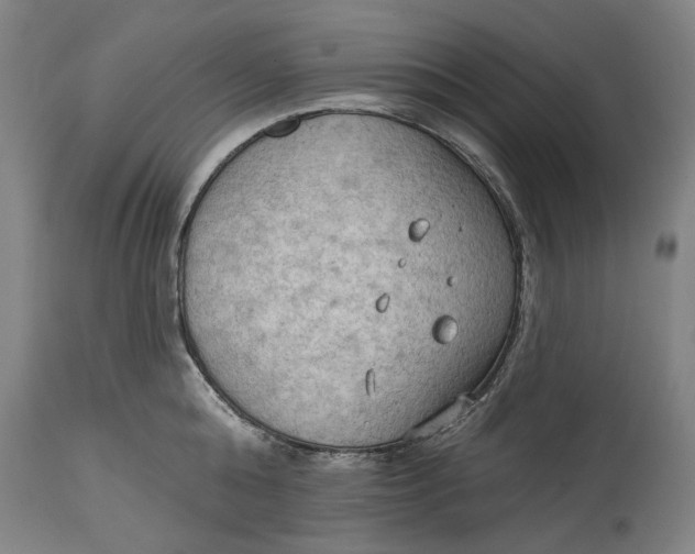 X0000114630808200911101235