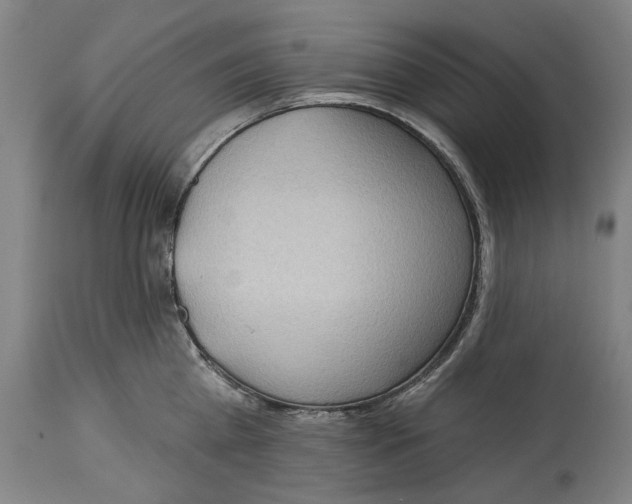 X0000114630809200911101235