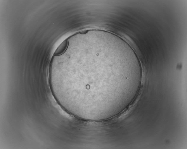 X0000114630812200911101235