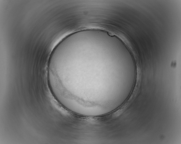 X0000114630814200911101235