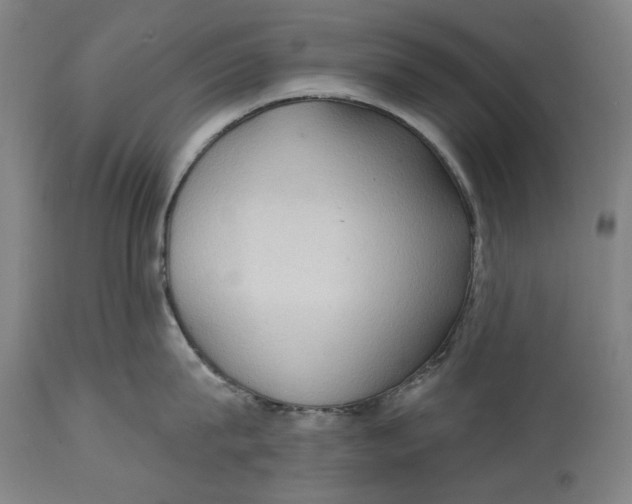 X0000114630815200911101235