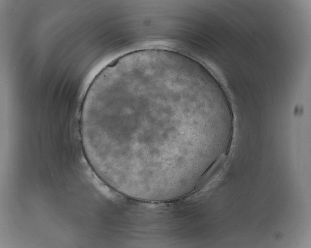 X0000114630816200911101235